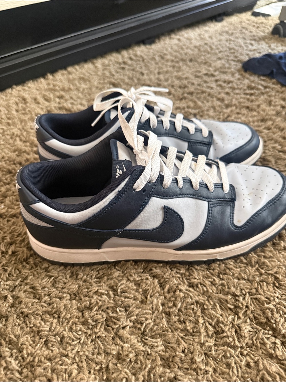 Nike Men’s Dunks — Navy and White